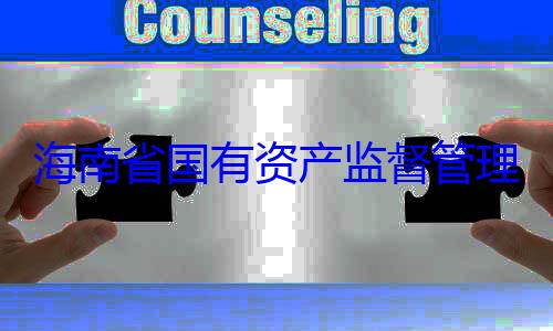 委副书记王理委员会党资产监督管有福接受审海南省国有查调查